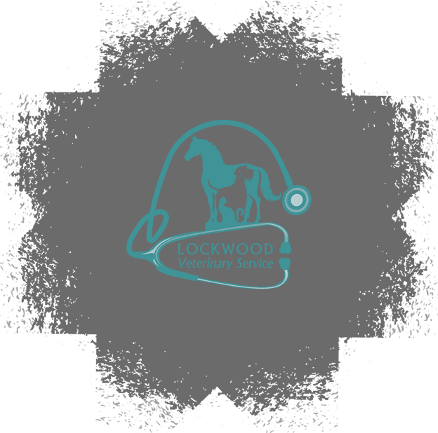 The Amazing Slideshow