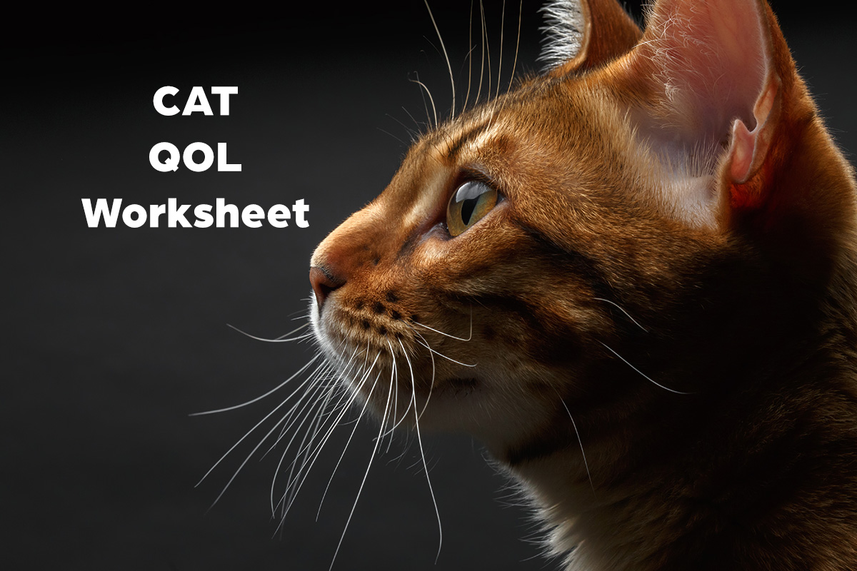 Cat QOL worksheet