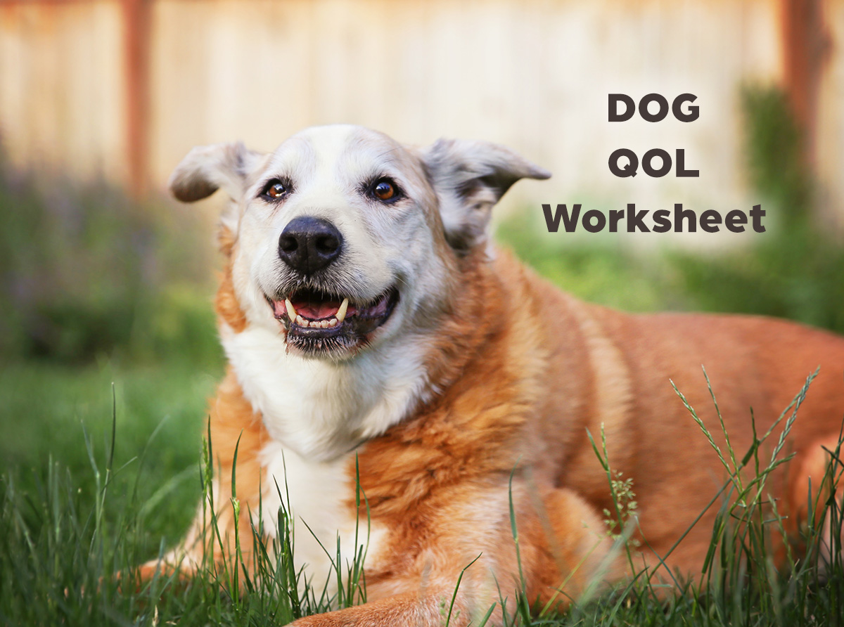 Dog QOL worksheet